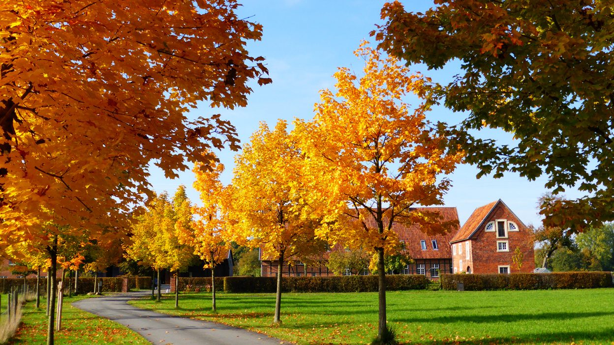Hofgut im Herbst